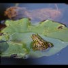 20150921_0212
